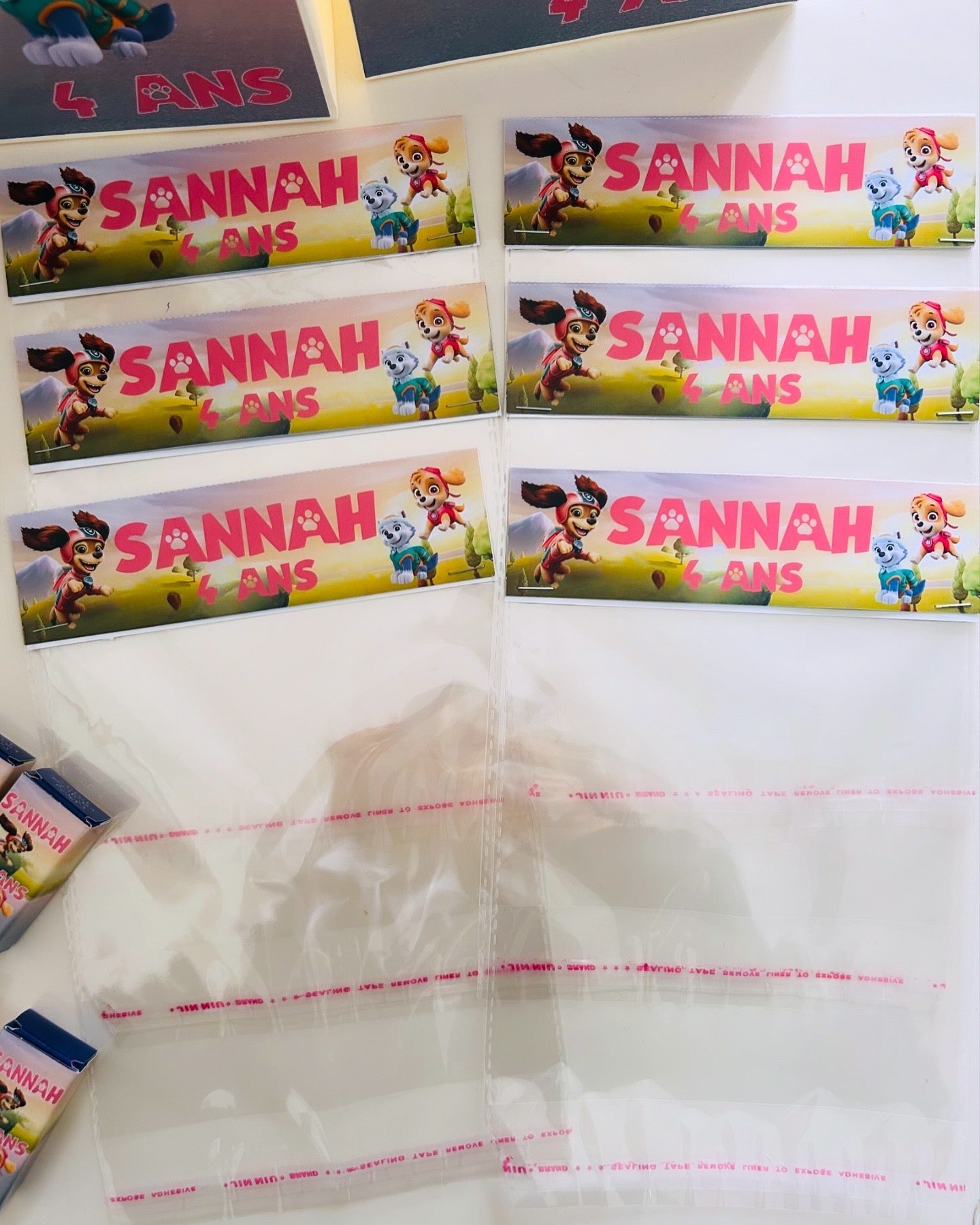 Thème Pat Patrouille Girly