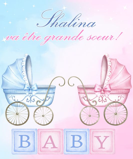 Thème Baby is Coming Rose & Bleu