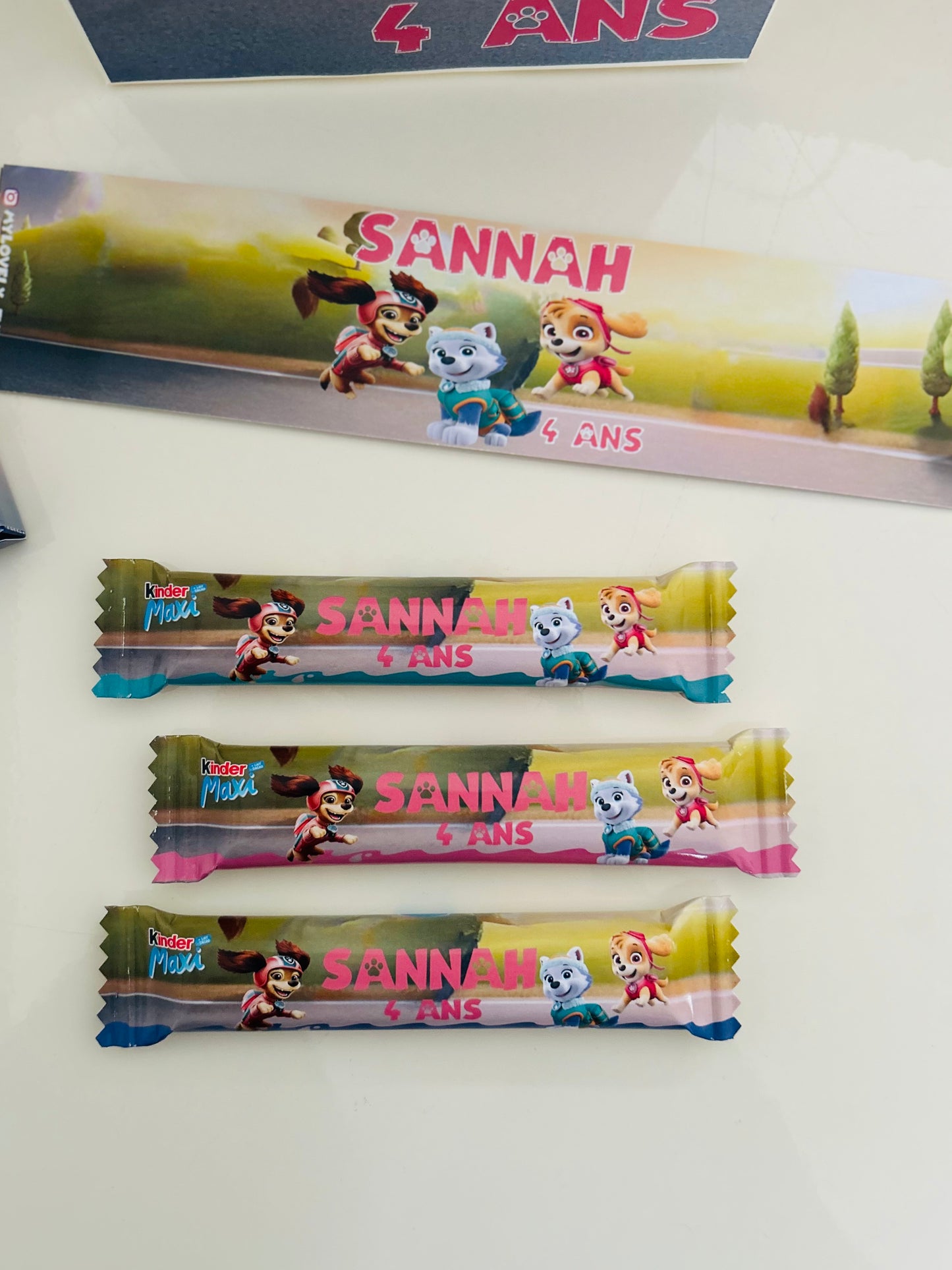 Thème Pat Patrouille Girly