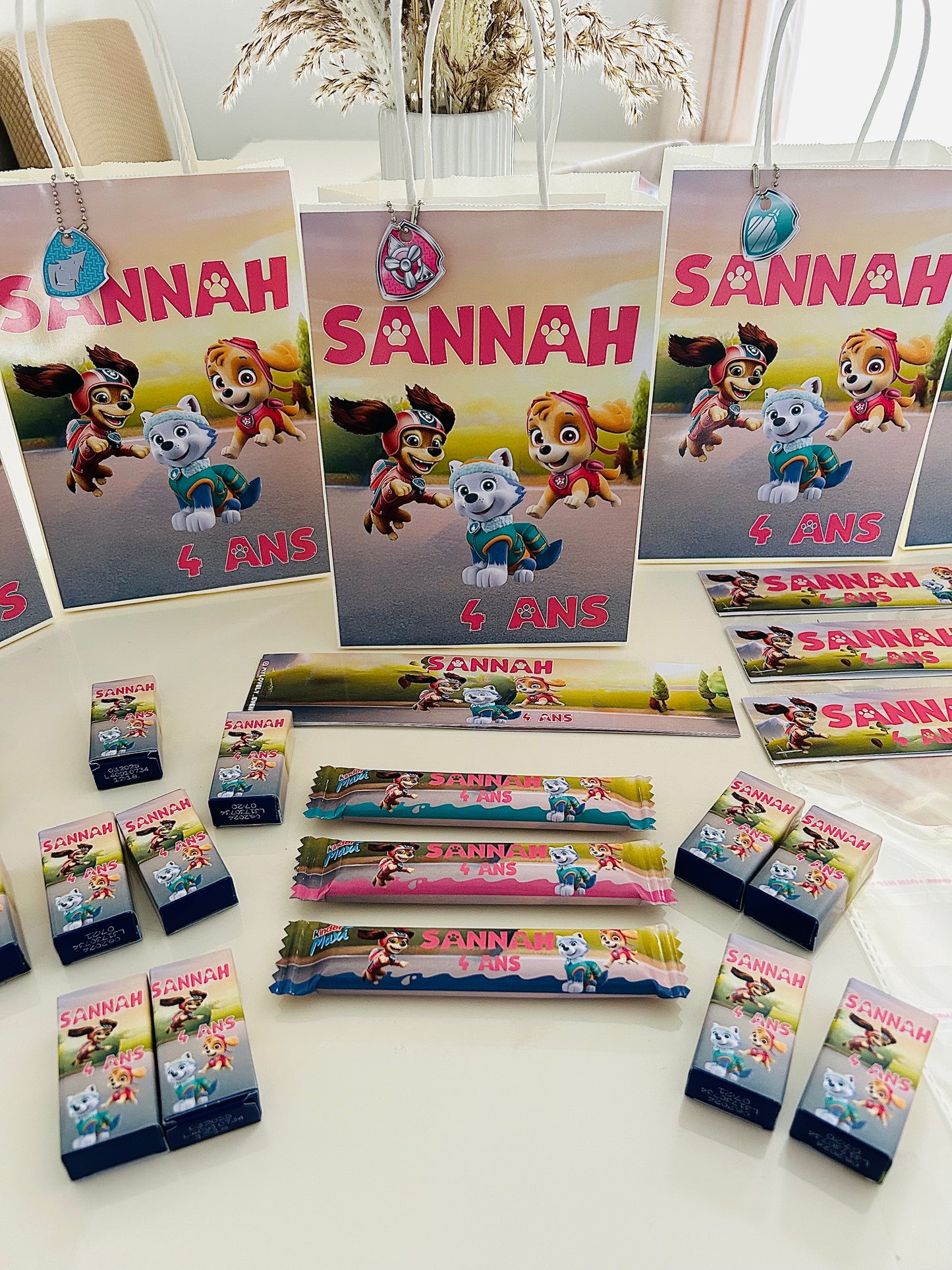 Thème Pat Patrouille Girly