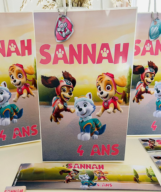 Thème Pat Patrouille Girly