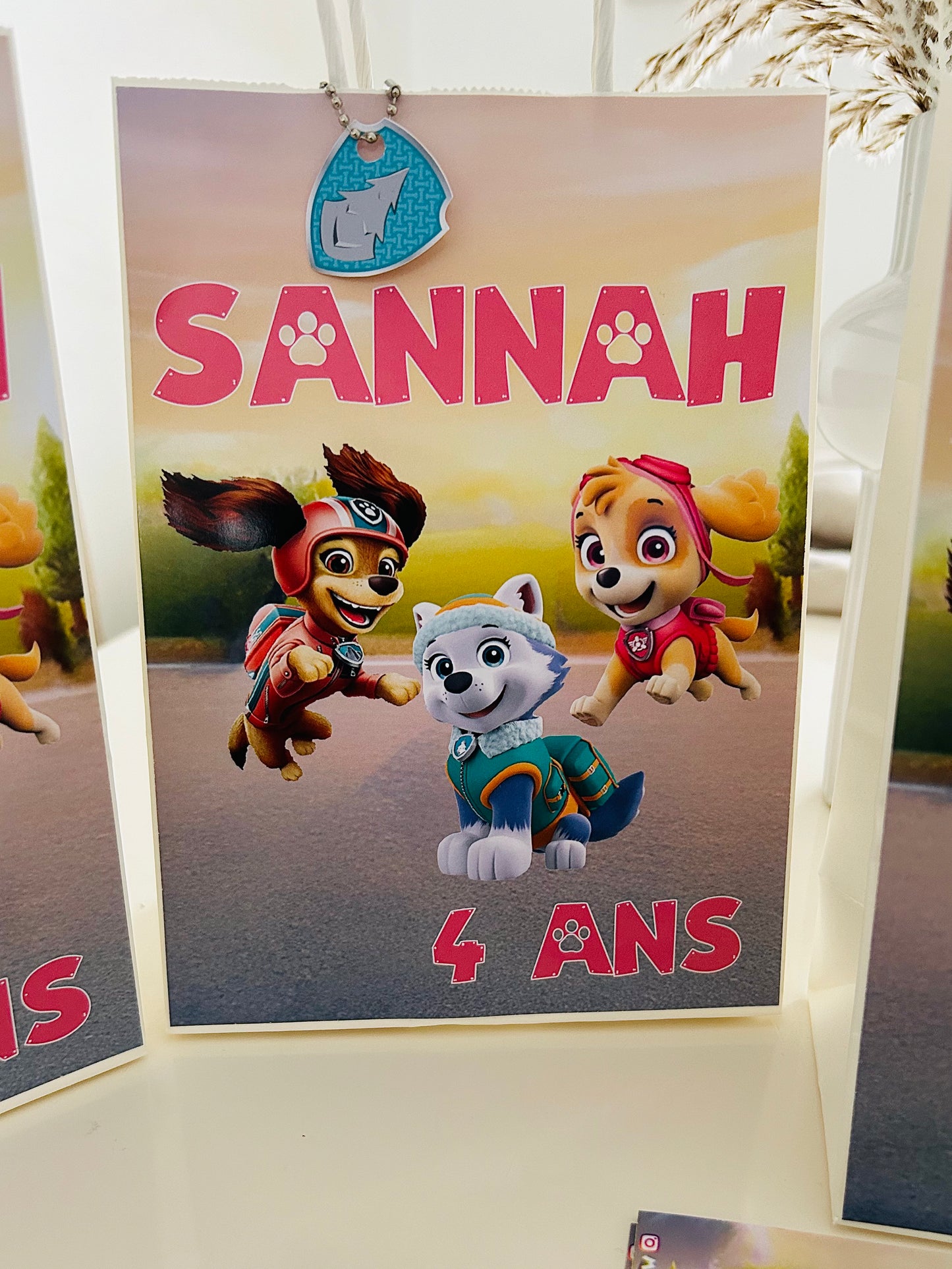 Thème Pat Patrouille Girly