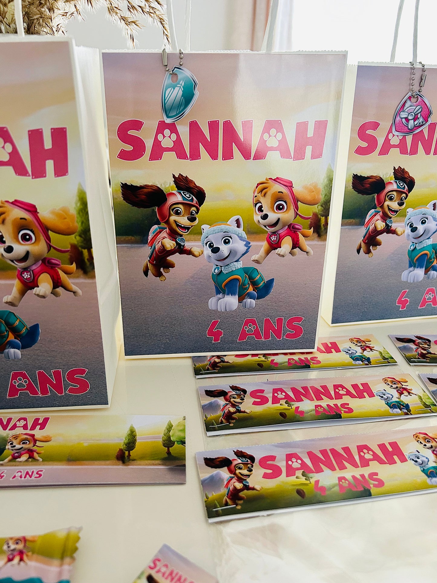 Thème Pat Patrouille Girly