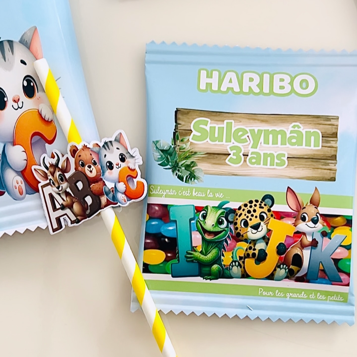 décoration personnalisée thème animaux de la jungle