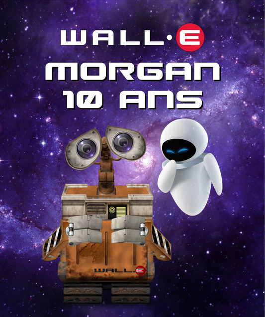 Thème Wall-E