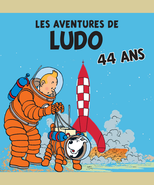 Thème Tintin