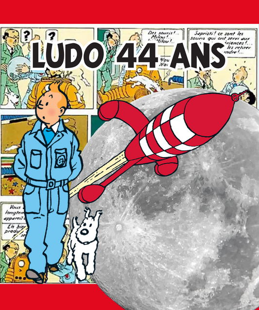 Thème Tintin 2