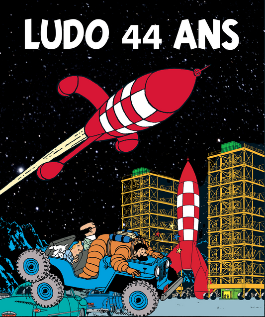 Thème Tintin 3
